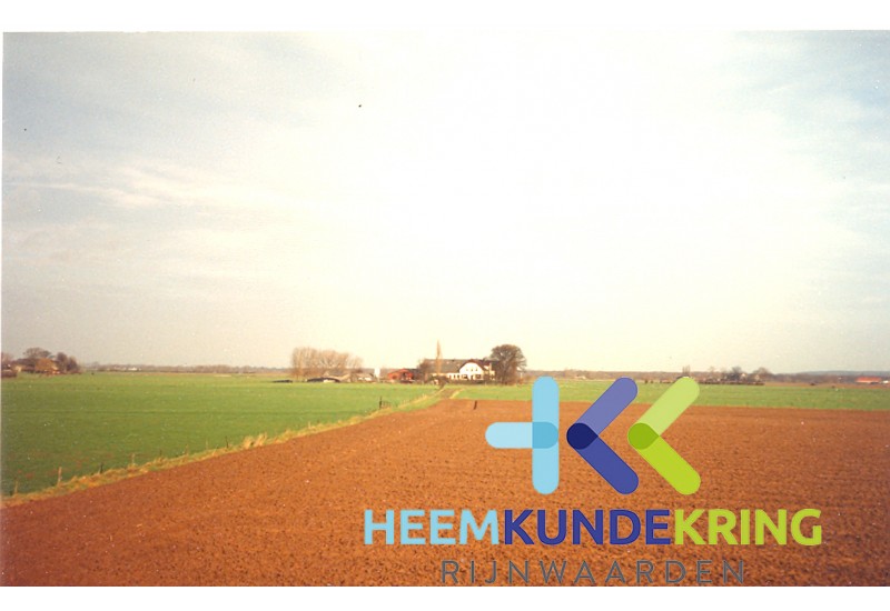 Reimerswaard